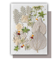 Flowers Jewelry - Home Decoration Flowers - Dried Flowers - DIY Resin Craft - Flowers for Epoxy Resin - Pressed Flowers - Natural Flower - Art By Suleny Craft Store LLC
