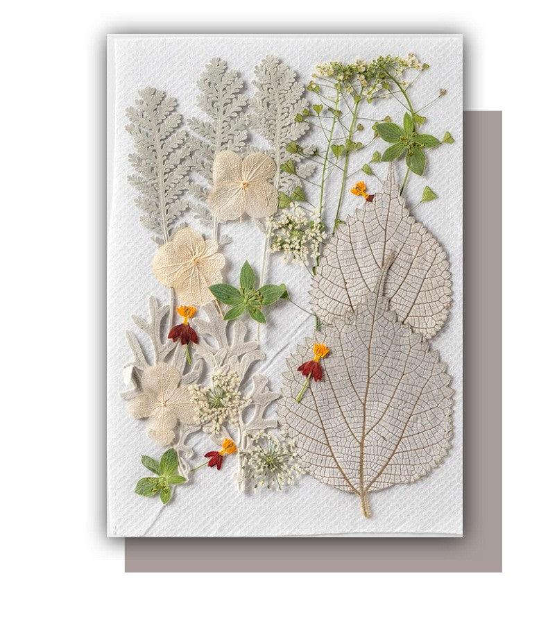 Flowers Jewelry - Home Decoration Flowers - Dried Flowers - DIY Resin Craft - Flowers for Epoxy Resin - Pressed Flowers - Natural Flower - Art By Suleny Craft Store LLC