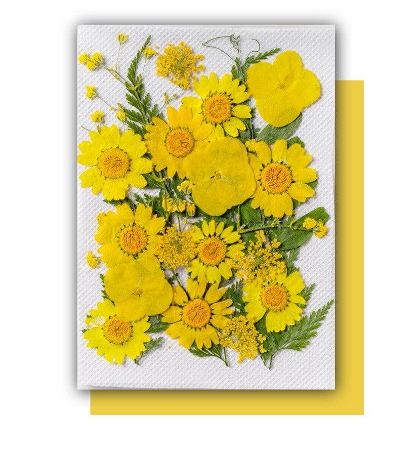 Flowers Jewelry - Home Decoration Flowers - Dried Flowers - DIY Resin Craft - Flowers for Epoxy Resin - Pressed Flowers - Natural Flower - Art By Suleny Craft Store LLC