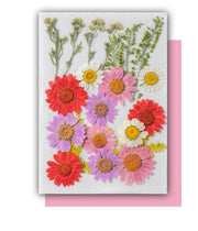 Flowers Jewelry - Home Decoration Flowers - Dried Flowers - DIY Resin Craft - Flowers for Epoxy Resin - Pressed Flowers - Natural Flower - Art By Suleny Craft Store LLC
