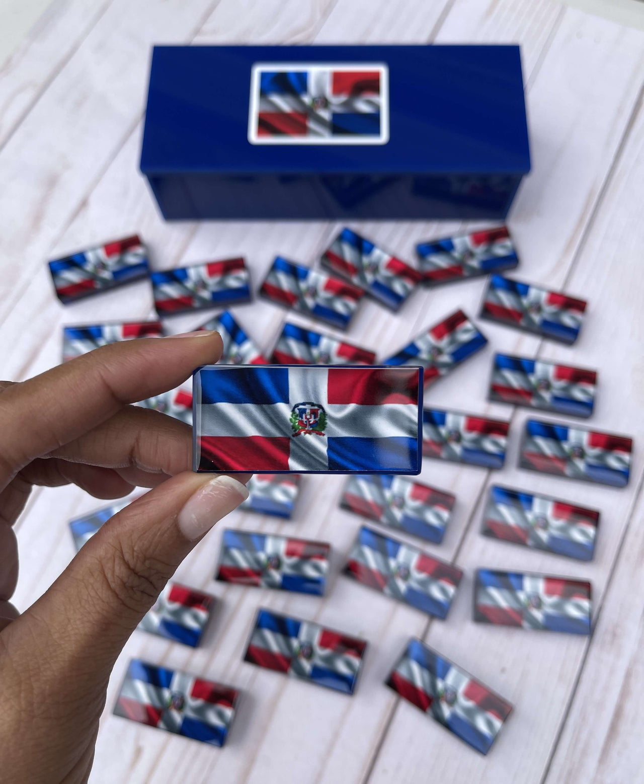 Dominican Republic Map and Flag Resin Dominoes Set